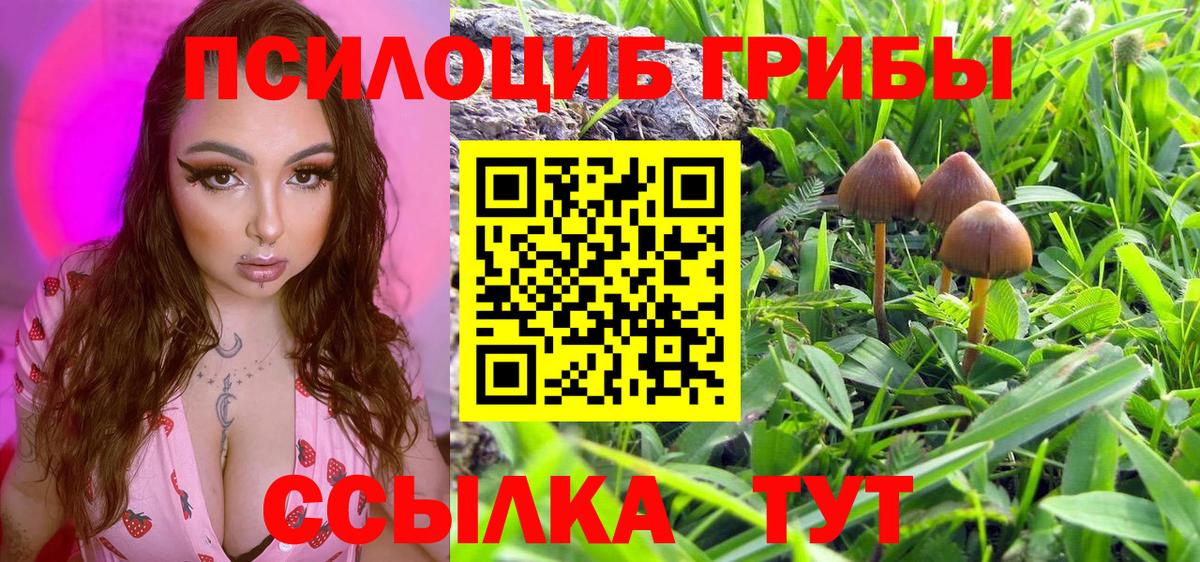 Галлюциногенные грибы MAGIC MUSHROOMS  Вход с VPN  наркота  Псилоцибиновые грибы Psilocybine cubensis  Электрогорск 